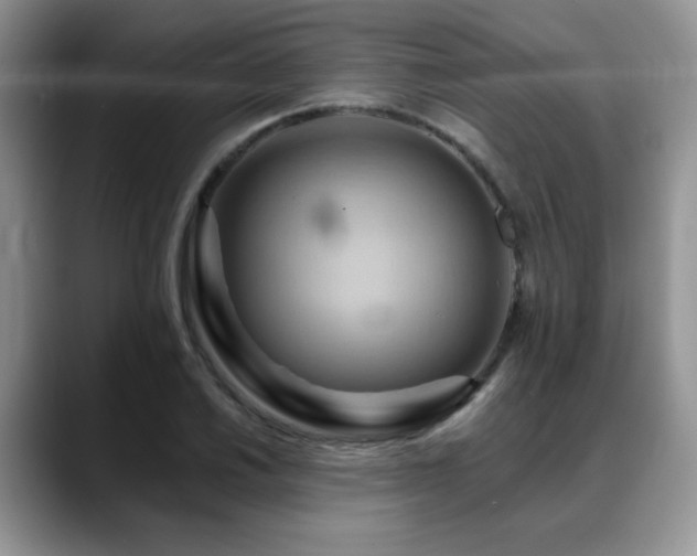 X0000088891030200706081244