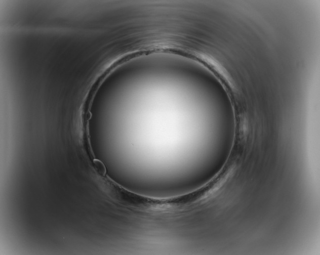 X0000088891031200706081244