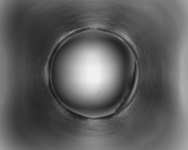 X0000088891032200706081244