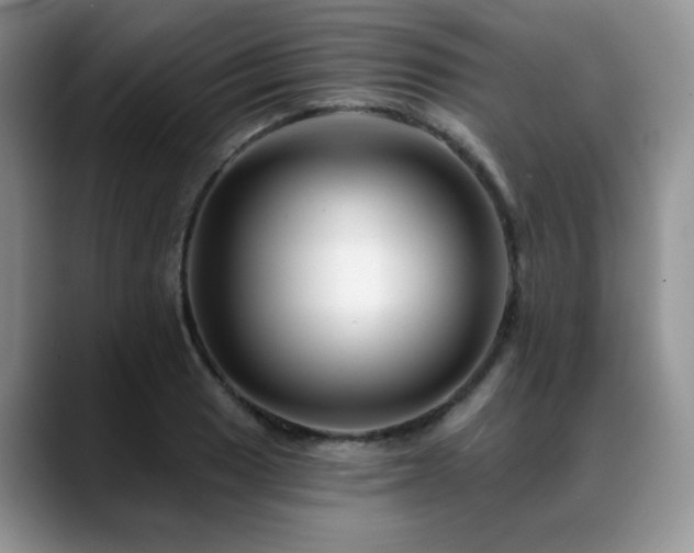 X0000088891033200706081244