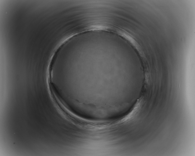 X0000088891034200706081244