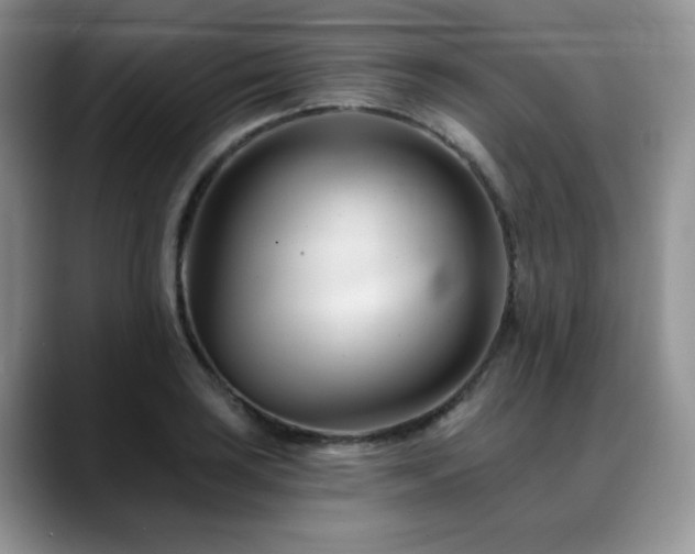 X0000088891035200706081244