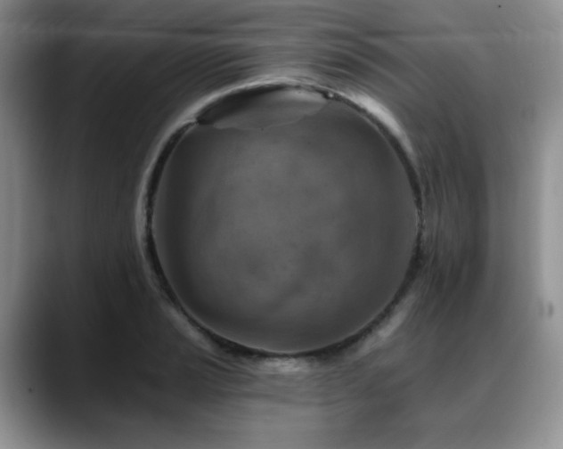 X0000088891037200706081244