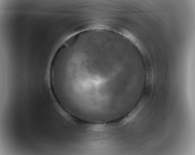 X0000088891038200706081244