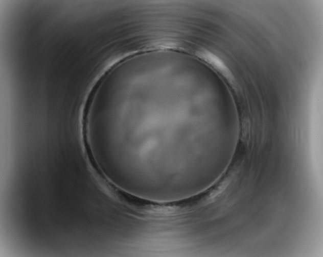 X0000088891039200706081244