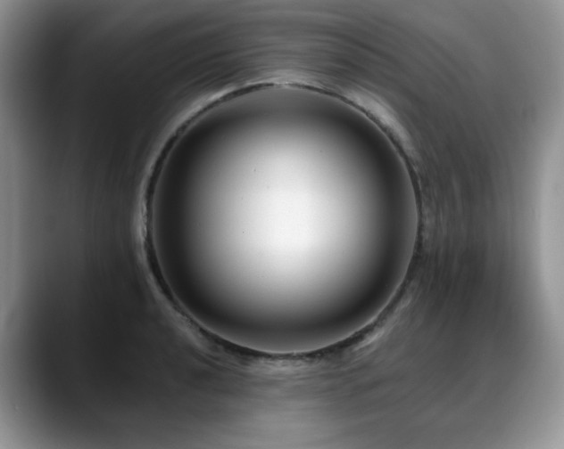 X0000088891040200706081244