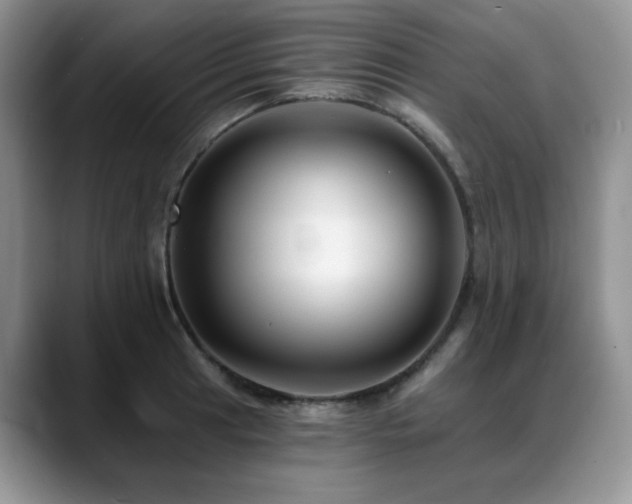 X0000088891041200706081244