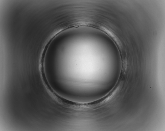 X0000088891042200706081244