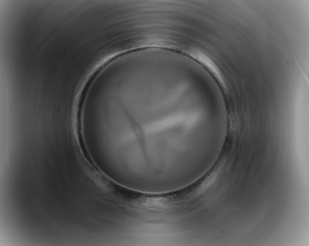 X0000088891043200706081244