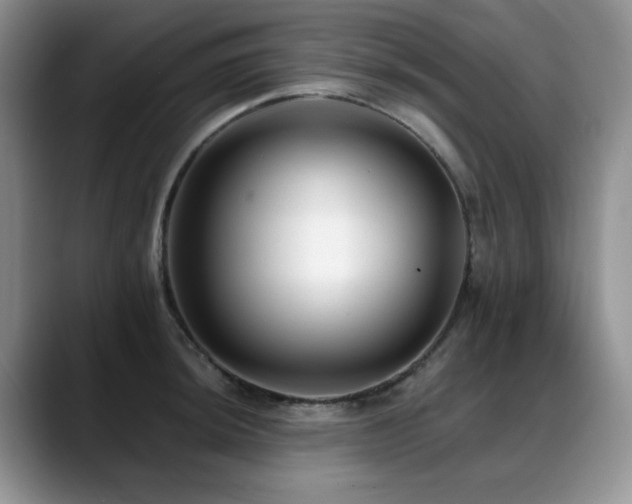 X0000088891044200706081244