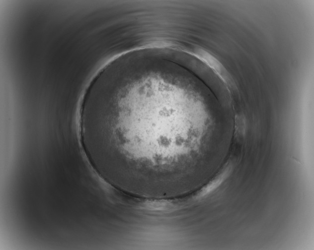 X0000088891046200706081244