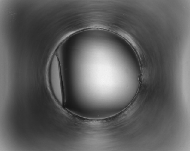 X0000088891048200706081244