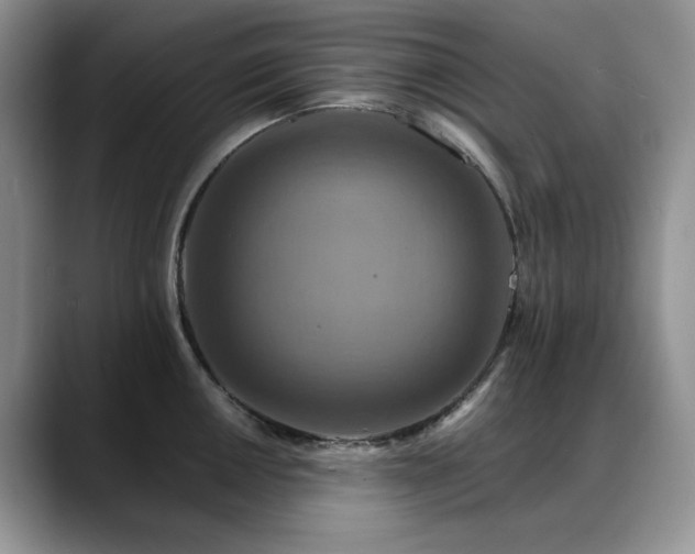 X0000088891050200706081244