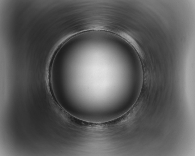X0000088891051200706081244