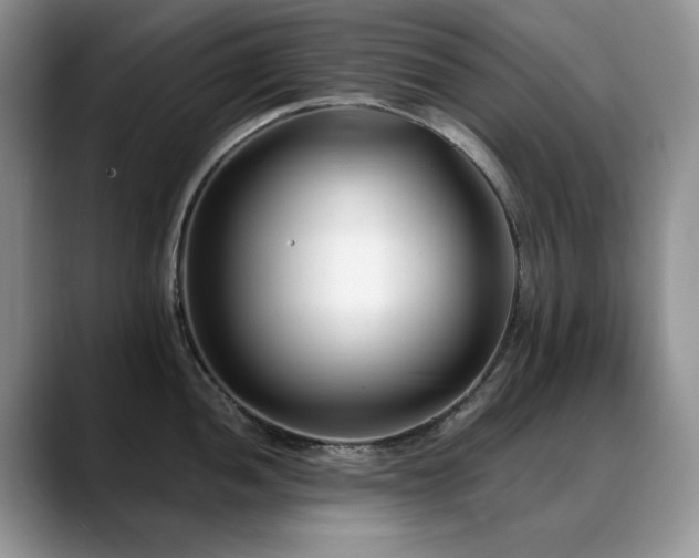 X0000088891052200706081244