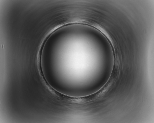 X0000088891053200706081244
