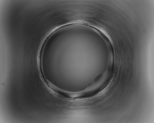 X0000088891054200706081244