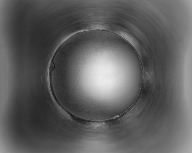 X0000088891055200706081244
