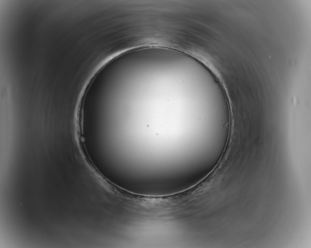 X0000088891056200706081244