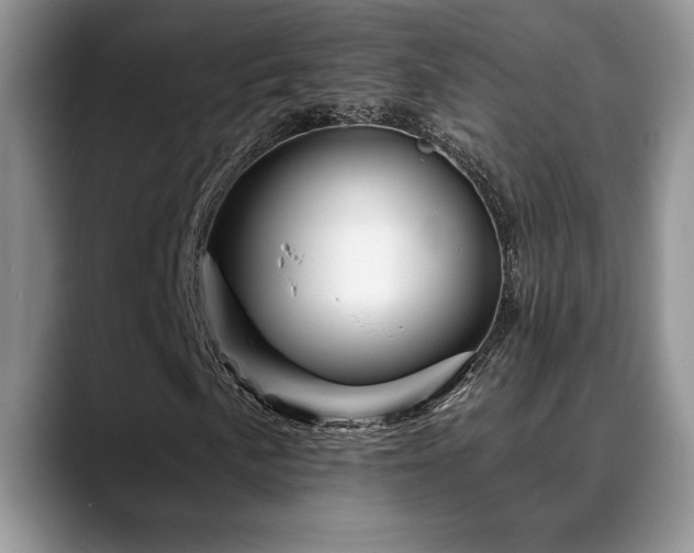 X0000088891057200706081244