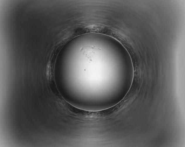 X0000088891058200706081244