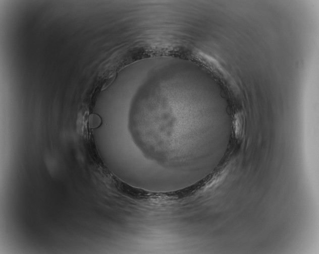 X0000088891059200706081244