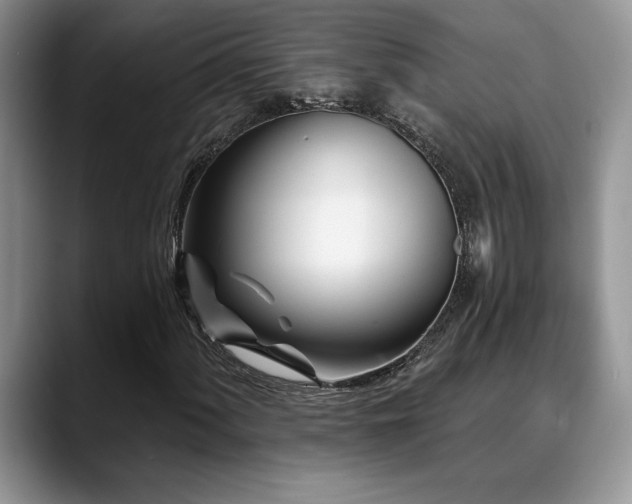 X0000088891060200706081244