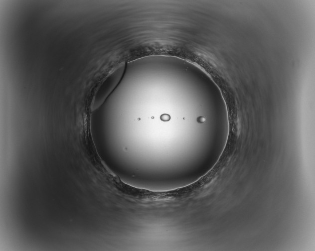 X0000088891061200706081244