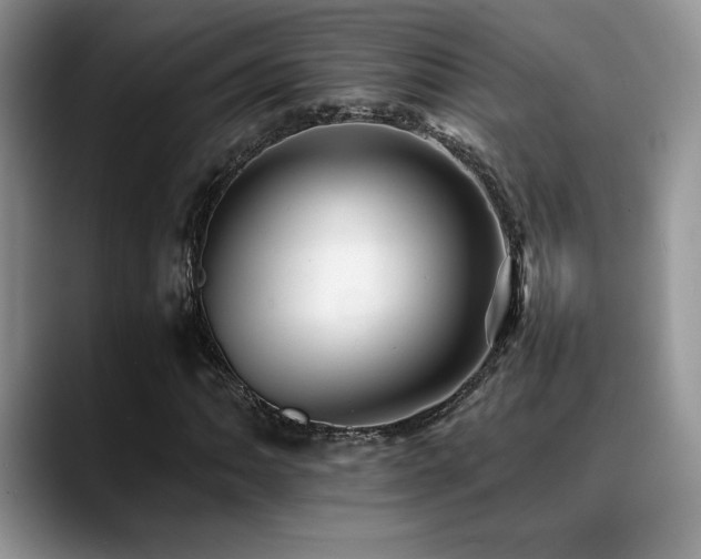 X0000088891062200706081244