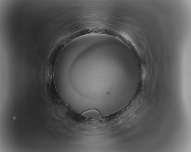 X0000088891063200706081244