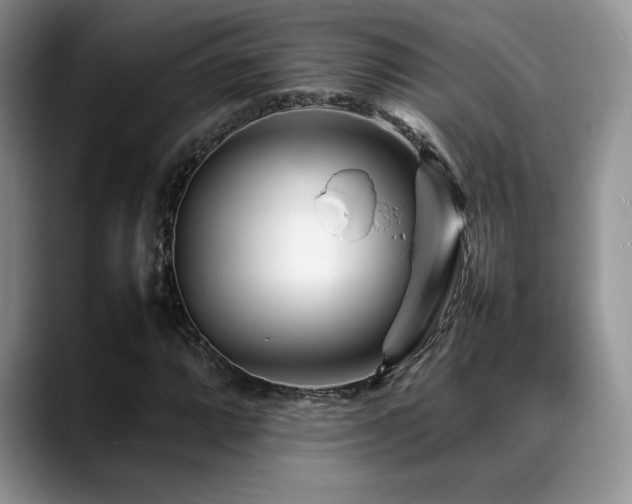 X0000088891064200706081244