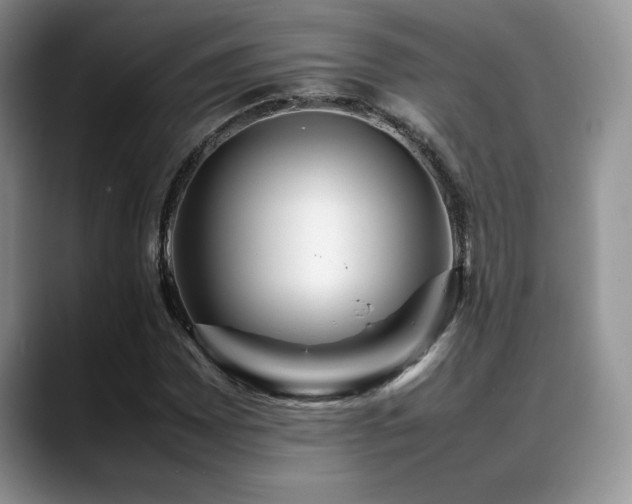 X0000088891065200706081244