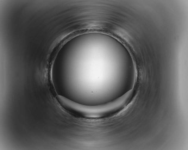 X0000088891066200706081244