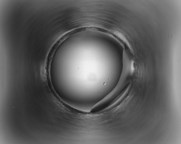 X0000088891068200706081244