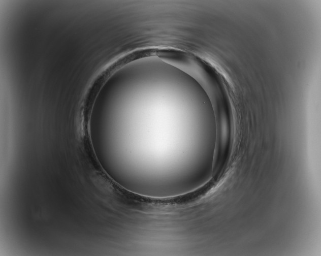 X0000088891069200706081244
