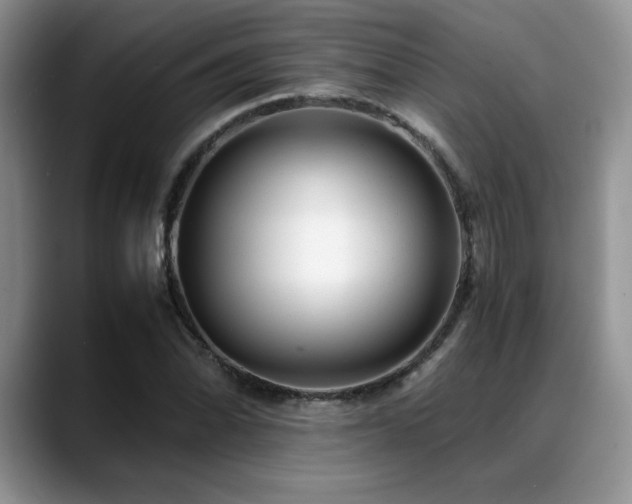 X0000088891070200706081244