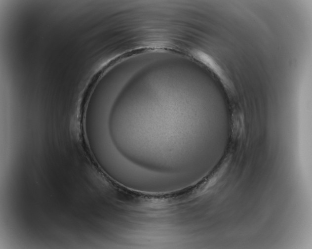 X0000088891071200706081244