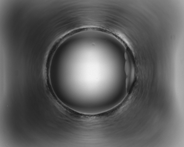 X0000088891072200706081244