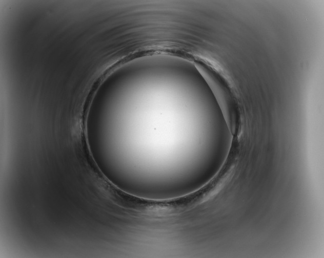 X0000088891073200706081244