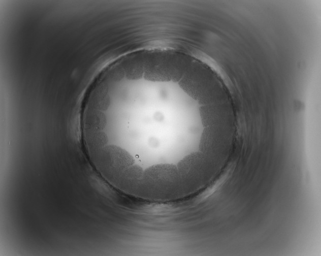 X0000088891075200706081244