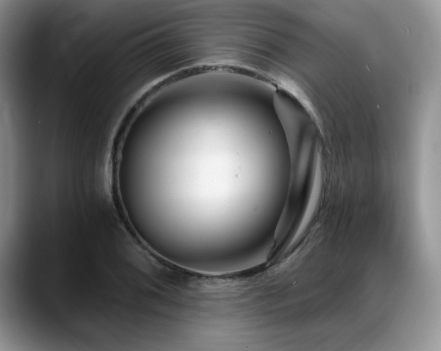 X0000088891076200706081244