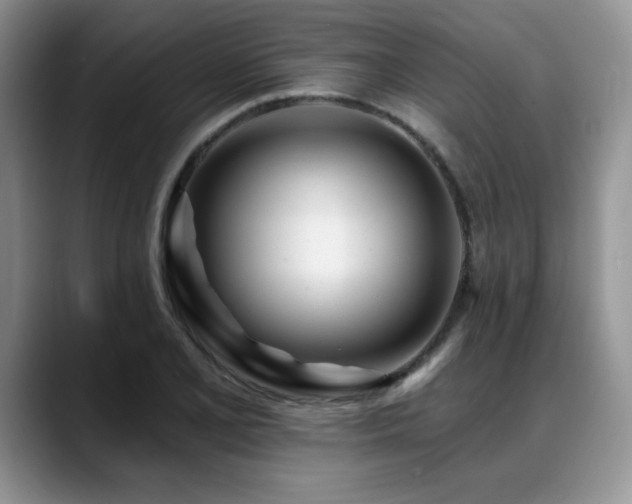 X0000088891077200706081244