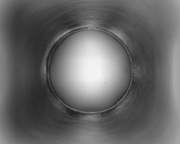X0000088891078200706081244