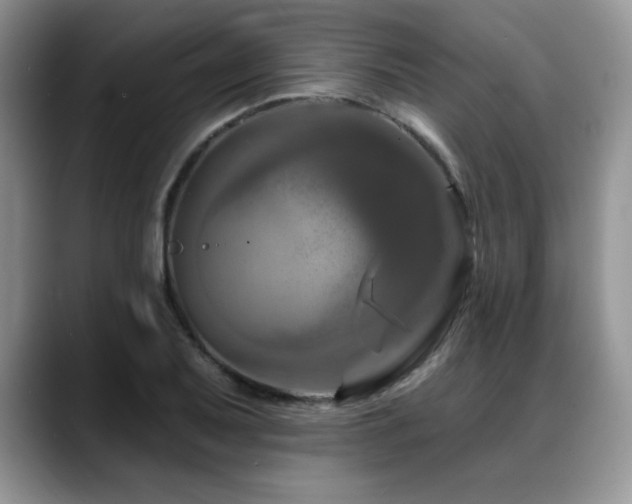 X0000088891079200706081244