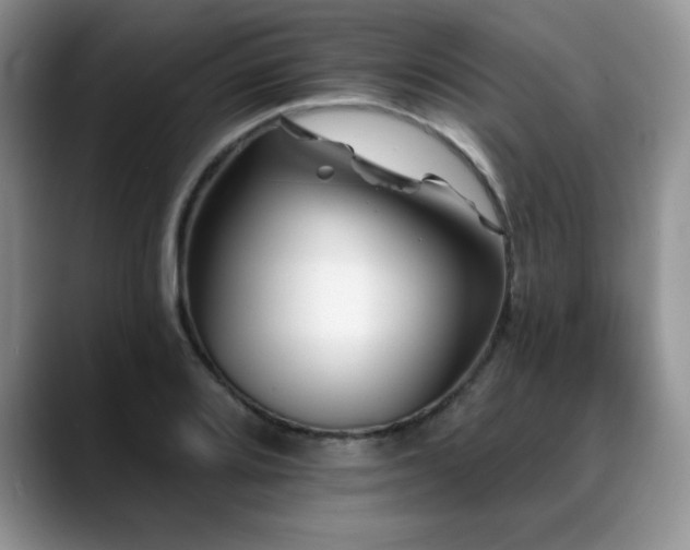 X0000088891080200706081244
