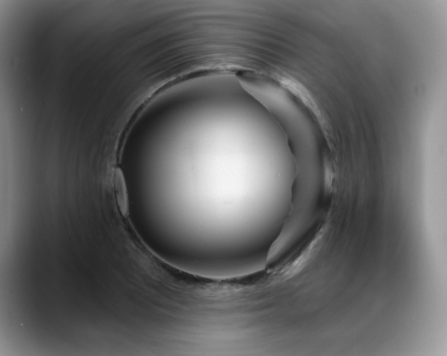 X0000088891081200706081244