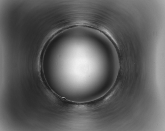 X0000088891082200706081244