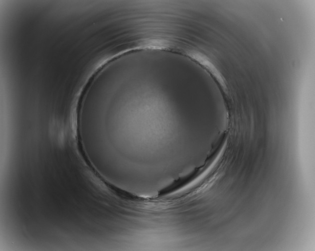 X0000088891083200706081243