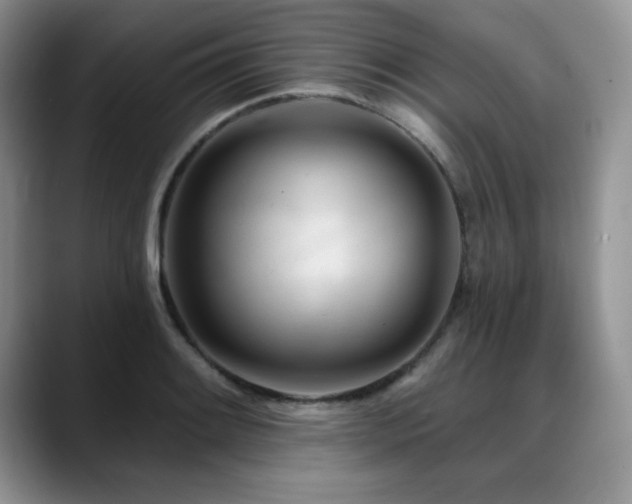 X0000088891084200706081243
