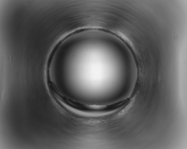 X0000088891085200706081243